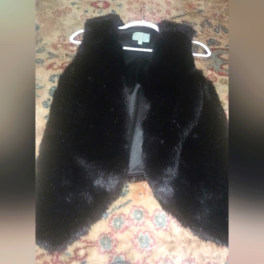 Skies are blue fur vest
